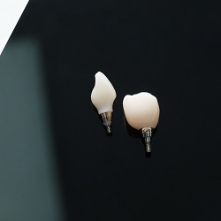 Имплантационная система Ankylos Имплантационная система Ankylos